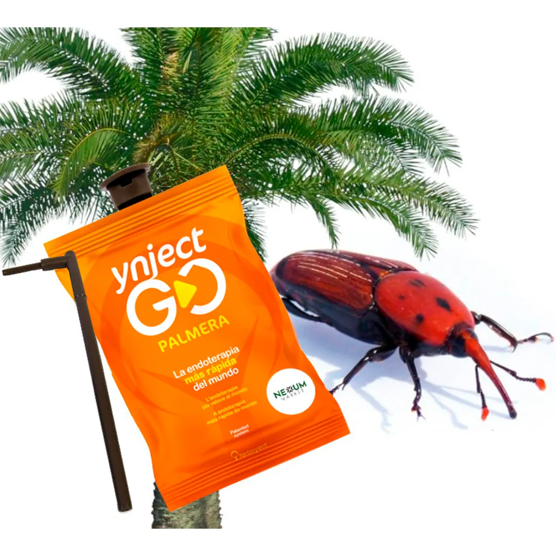Ynject GO Palmera Dispositivo de Endoterapia 55 ml