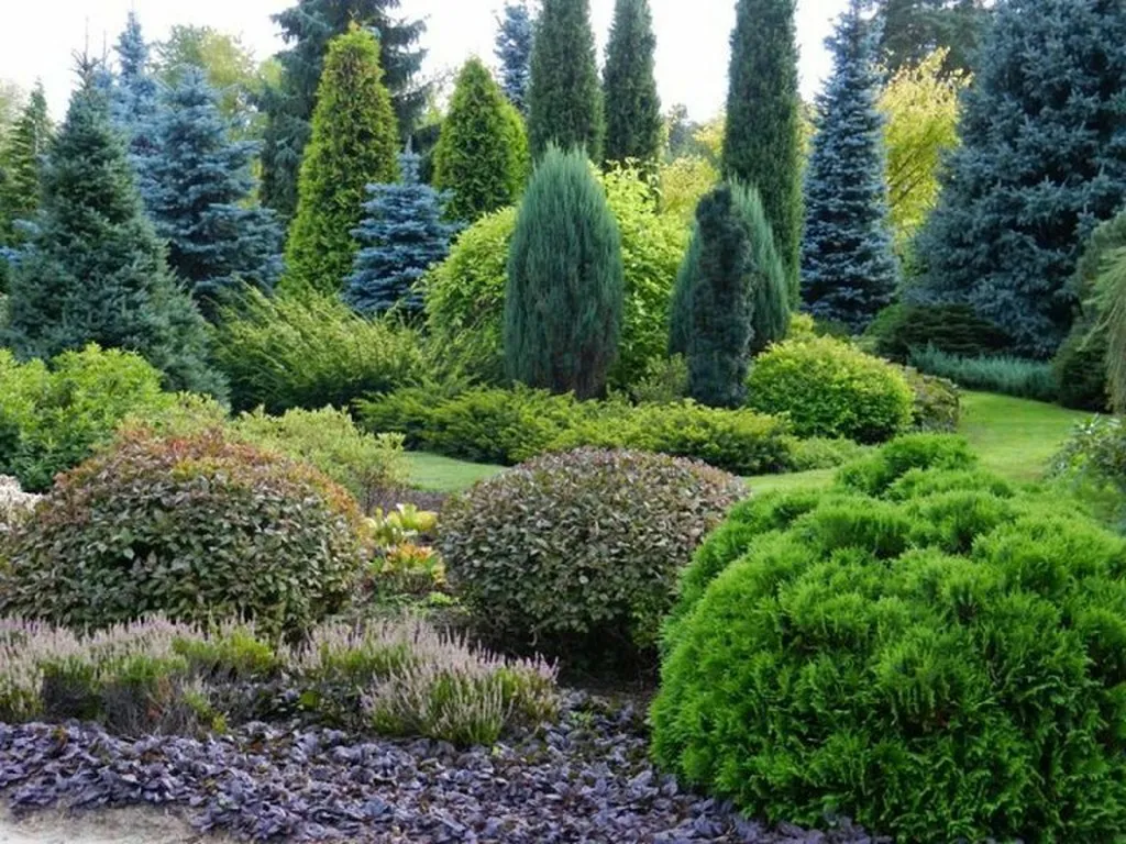 Productos ecológicos para plantas: guía para cuidar huerto y jardín