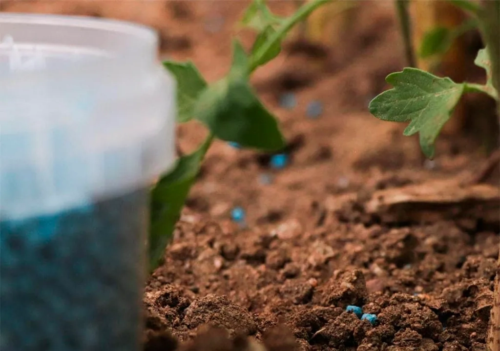 Malas hierbas en jardín y huerto: cómo eliminarlas correctamente